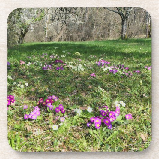 Dessous-de-verre Harbinger du printemps (Devant)