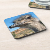 Dessous-de-verre Harry the Happy Ostrich (Côté gauche)