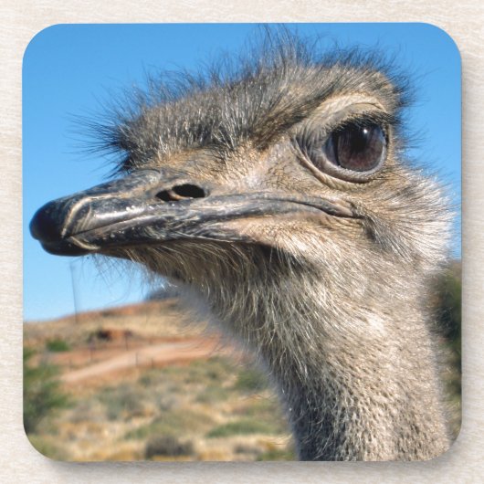 Dessous-de-verre Harry the Happy Ostrich (Devant)