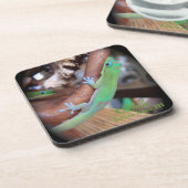 Dessous de verre hawaïens de Gecko de la poussière (Côté gauche)