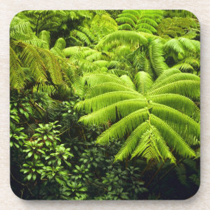 Dessous-de-verre Hawaii, Grande Ile, Verdure tropicale luxuriante e