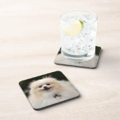 Dessous-de-verre Headshot 1 de Pomeranian (Côté Droit)