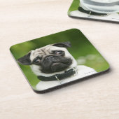 Dessous-de-verre Headshot de carlin (Côté gauche)