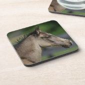 Dessous-de-verre Headshot quart de poulain de cheval (Côté gauche)