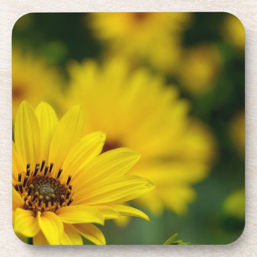 Dessous-de-verre Hélénium de marguerite jaune (Devant)