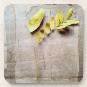 Dessous-de-verre Herbarium V