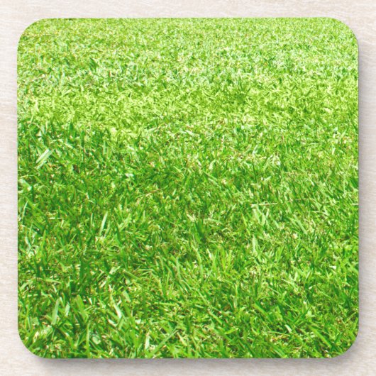 Dessous-de-verre Herbe (Devant)