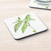Dessous-de-verre Herbe de menthe (Côté gauche)