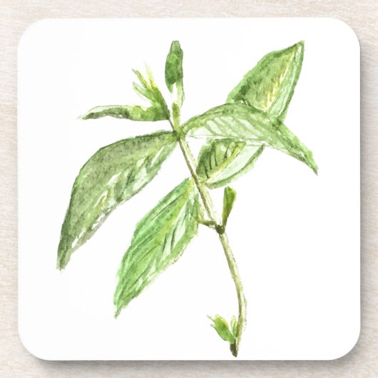 Dessous-de-verre Herbe de menthe (Devant)