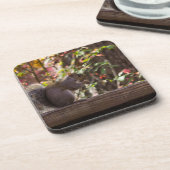 Dessous-de-verre Heure des écureuils (Côté gauche)