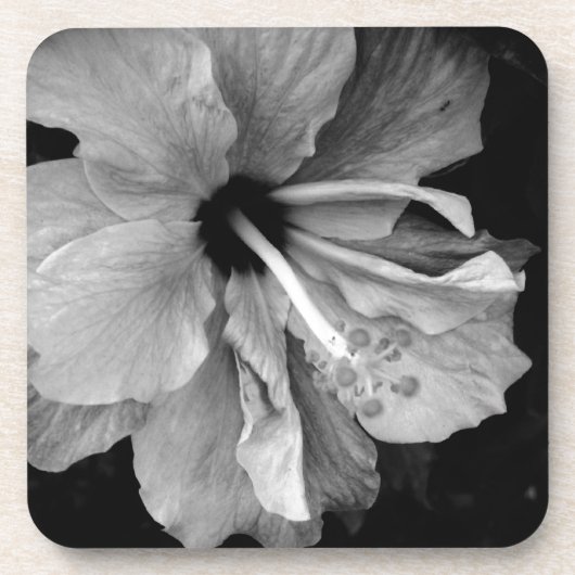 Dessous-de-verre Hibiscus (Devant)