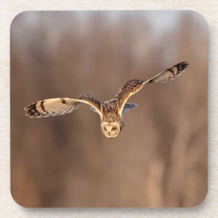 Dessous-de-verre Hibou à oreilles courtes plongeant vers le sol