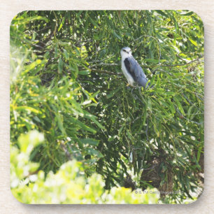 Dessous-de-verre Hibou étant perché sur un arbre