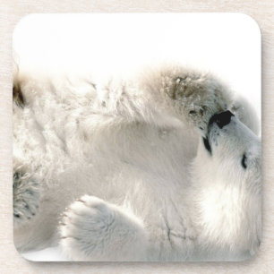 Dessous-de-verre Hiver congelé arctique animal mignon de CUB d'ours