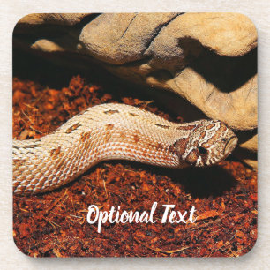 Dessous-de-verre Hognose Pet Snack