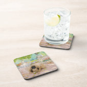 Dessous-de-verre Honey Pekingese (Côté Droit)