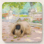 Dessous-de-verre Honey Pekingese (Devant)