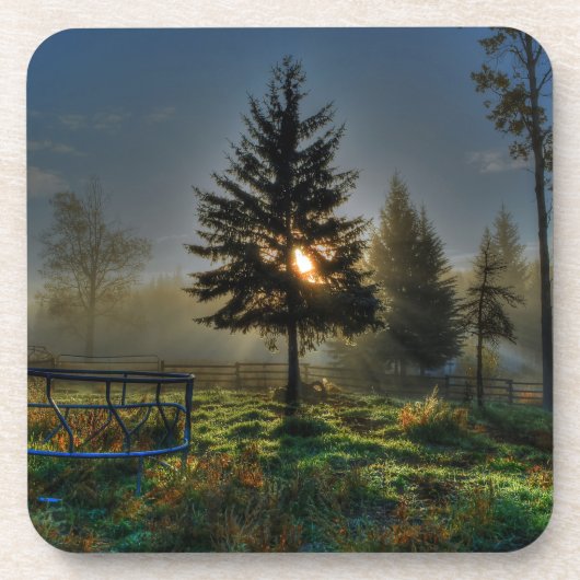Dessous-de-verre Horse Ranch Sunrise Nature Photo (Devant)