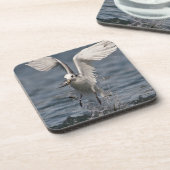Dessous-de-verre Hovering Kittiwake (Côté gauche)