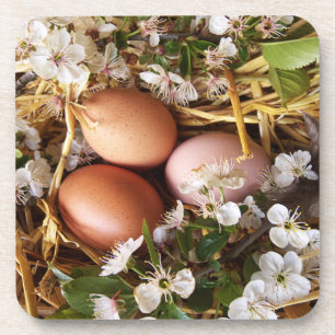 Dessous-de-verre Hühnereier im Nest