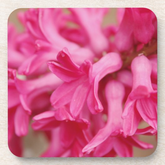 Dessous-de-verre Hyacinth rose (Devant)