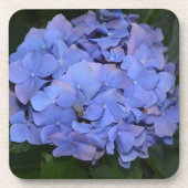 Dessous-de-verre Hydrangea macrophylla violette rustique (Devant)