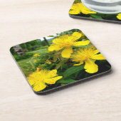 Dessous-de-verre Hypericum calycinum (Côté gauche)