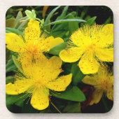 Dessous-de-verre Hypericum calycinum (Devant)