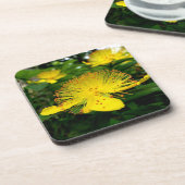 Dessous-de-verre Hypericum calycinum (Côté gauche)