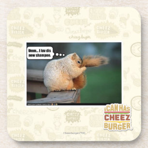 Dessous-de-verre I nouveau shampooing du luv DIS