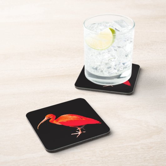 Dessous-de-verre Ibis écarlet (Côté Droit)