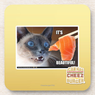 Dessous-de-verre Il est beau !