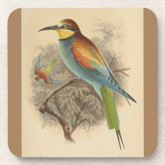 Dessous-de-verre Illustration vintage de l'Abeille européenne (Devant)