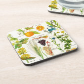 Dessous-de-verre Illustrations botaniques - usines de Larousse (Côté gauche)