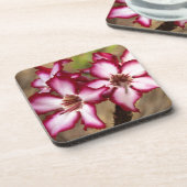 Dessous-de-verre Impala Lily (Adenium Multiflorum), Kruger (Côté gauche)