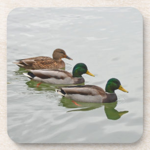 Dessous de verre imprimé canards colverts