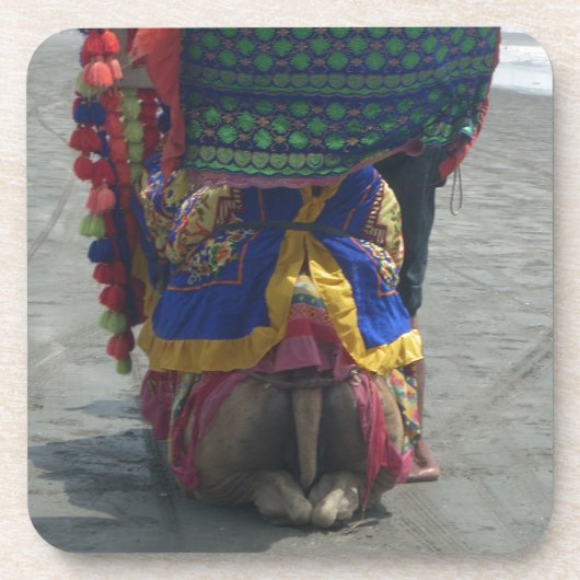 Dessous-de-verre Imprimé/graphique en forme de chameau (Devant)