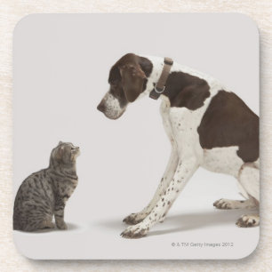 Dessous-de-verre Indicateur regardant vers le bas le chat