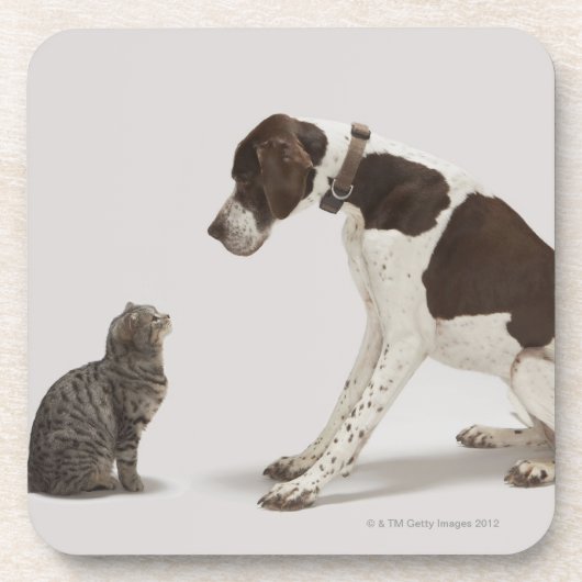Dessous-de-verre Indicateur regardant vers le bas le chat (Devant)