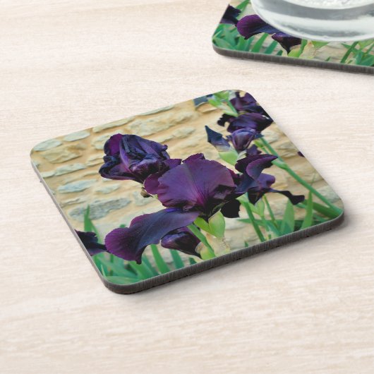 Dessous-de-verre Iris à poils (Côté gauche)