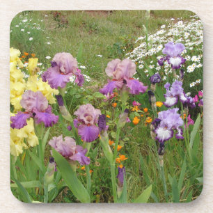 Dessous-de-verre Iris iris fleurs fleuris Cottage Jardin Anniversai