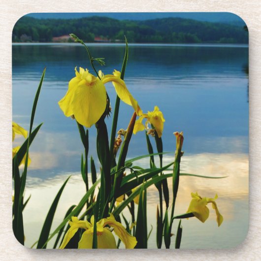 Dessous-de-verre Iris jaune à Lake Shore (Devant)