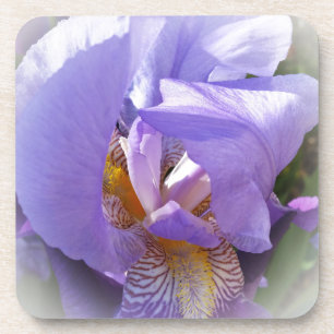 Dessous-de-verre iris pourpre