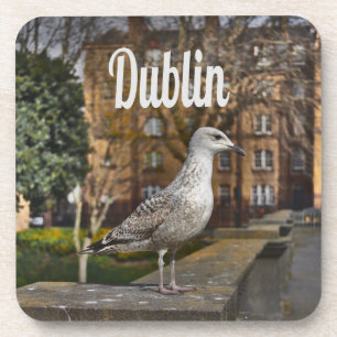 Dessous-de-verre Irlande de Dublin Bird sur mur de briques