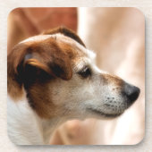 DESSOUS-DE-VERRE JACK RUSSELL TERRIER CHIEN (Devant)