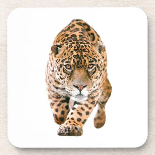 Dessous-de-verre Jaguar Eyes