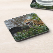 Dessous-de-verre Jaguar Growl (Côté gauche)