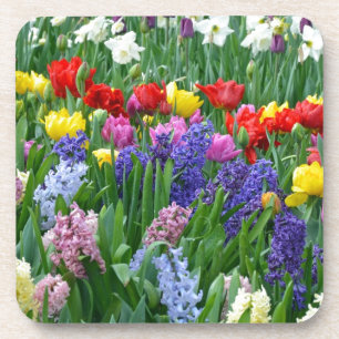 Dessous-de-verre Jardin fleuri coloré