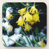 Dessous-de-verre Jaune Daffodils fleurs dans la neige (Devant)