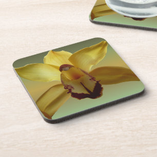 Dessous de verre jaunes d'orchidée